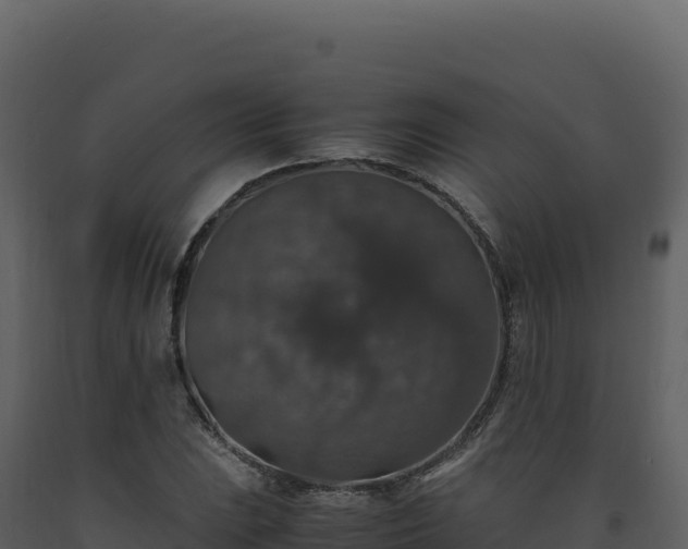 X0000093491023200710191223