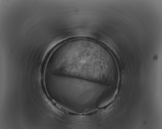 X0000093491024200710191223