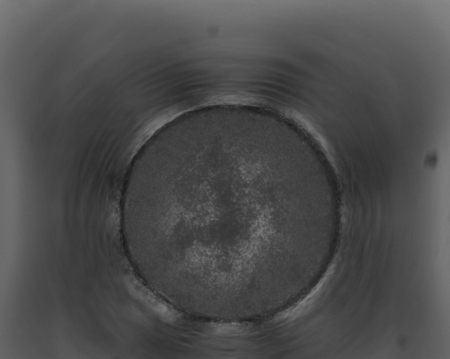 X0000093491025200710191223