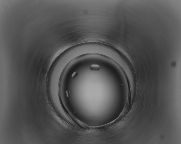 X0000093491026200710191223