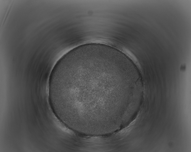 X0000093491028200710191223