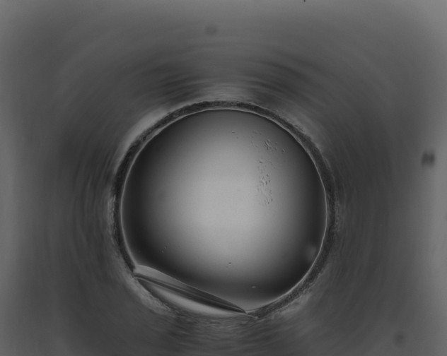 X0000093491029200710191223