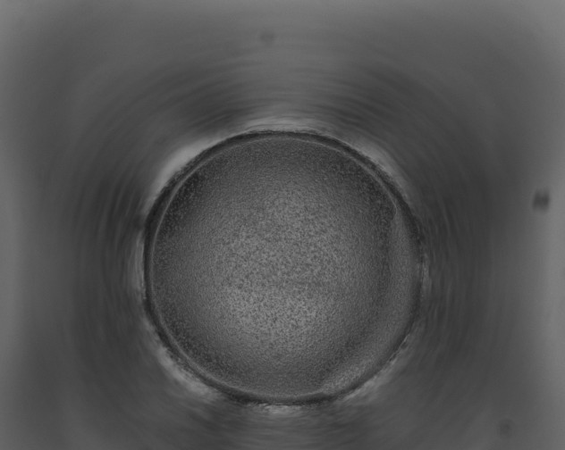 X0000093491030200710191223