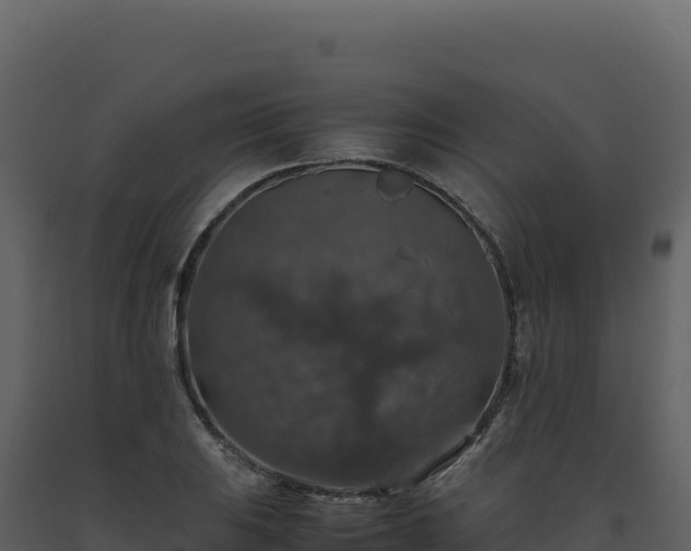 X0000093491031200710191223