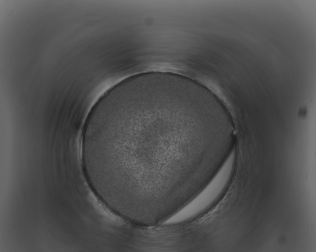 X0000093491032200710191223