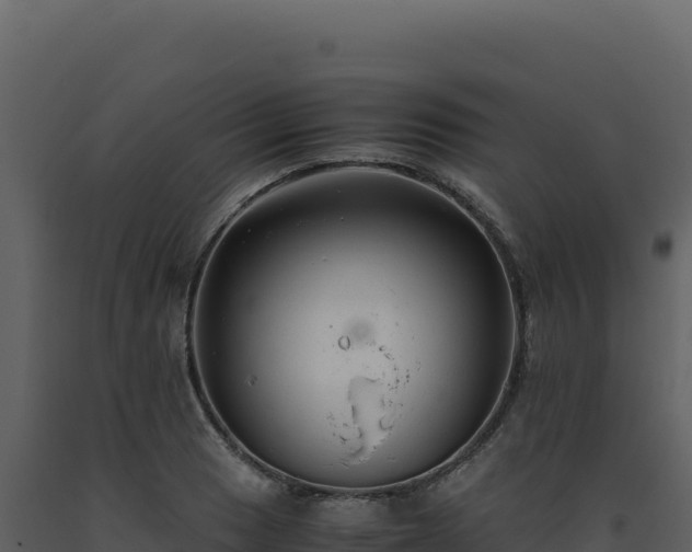 X0000093491033200710191223