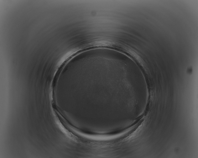 X0000093491034200710191223