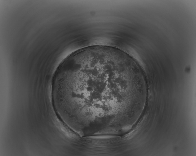 X0000093491035200710191223