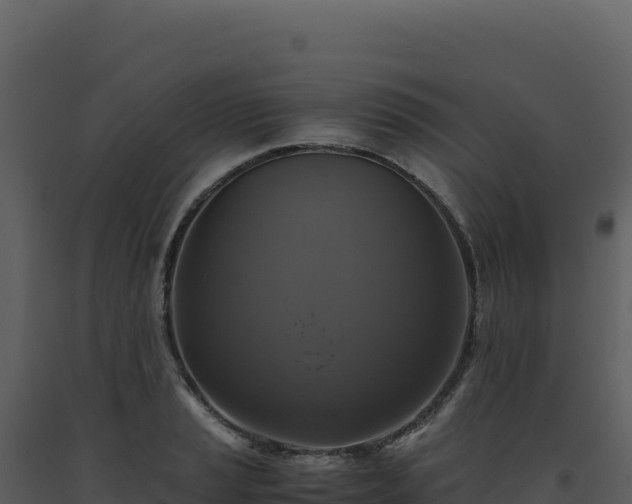 X0000093491037200710191223