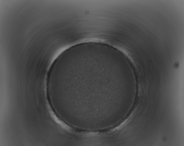 X0000093491038200710191223