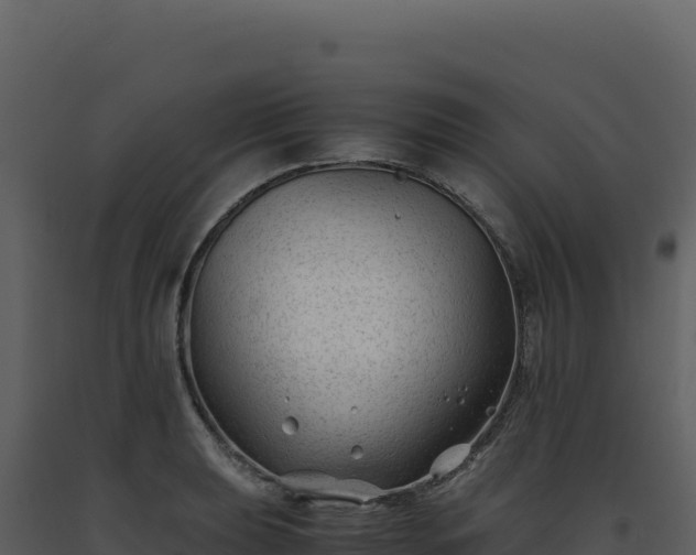 X0000093491039200710191223