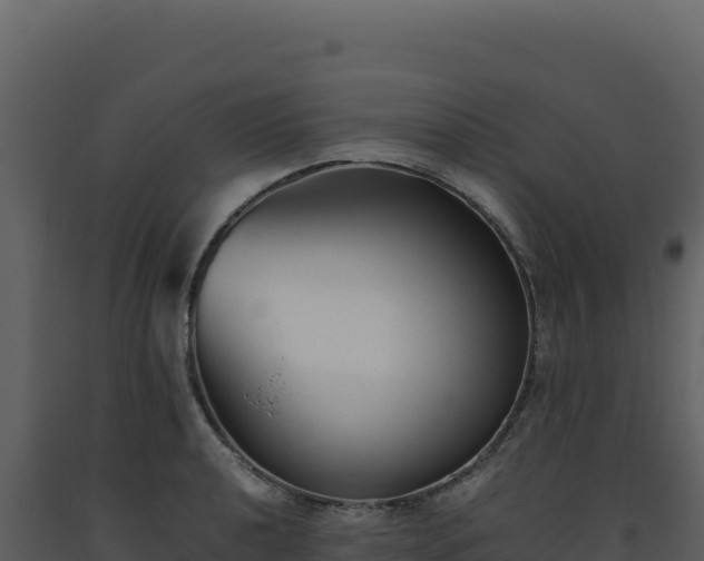 X0000093491040200710191223
