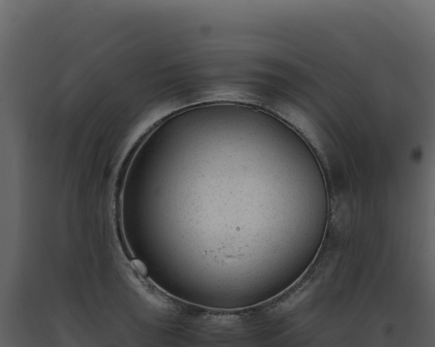 X0000093491043200710191223