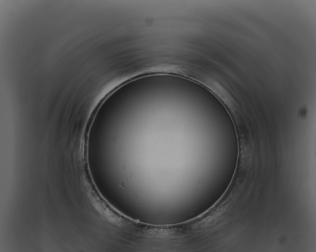 X0000093491044200710191223