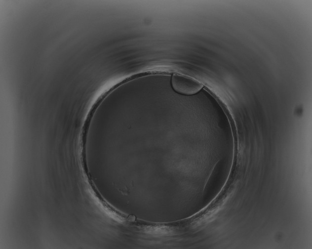 X0000093491045200710191223