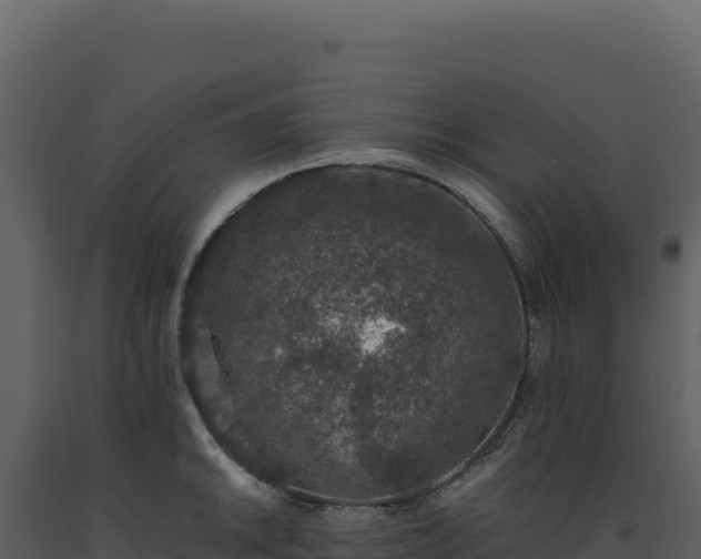 X0000093491046200710191223