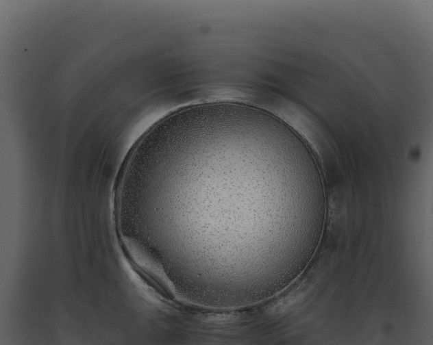 X0000093491047200710191223