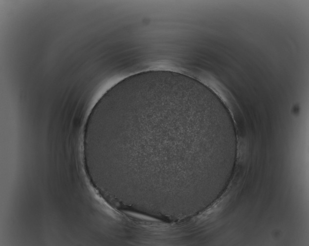X0000093491048200710191223