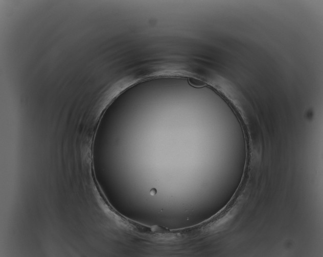 X0000093491049200710191223