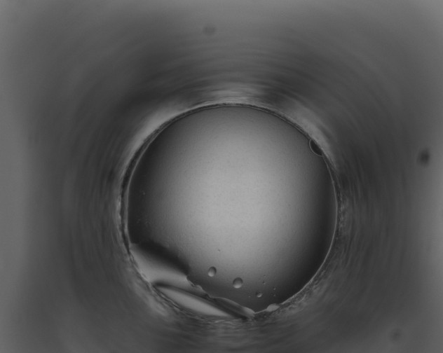 X0000093491051200710191223