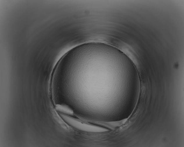 X0000093491052200710191223