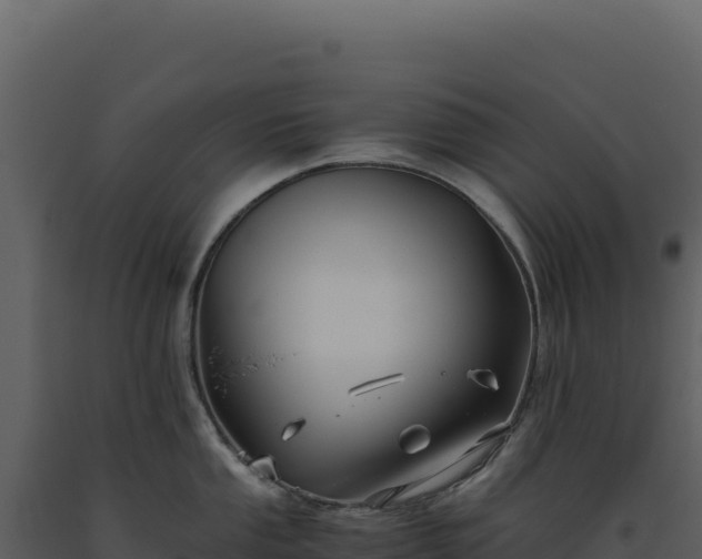 X0000093491053200710191223