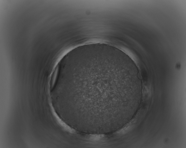 X0000093491055200710191223