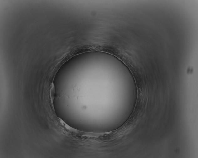 X0000093491057200710191222
