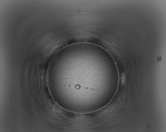 X0000093491059200710191222