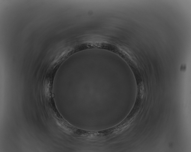 X0000093491060200710191222