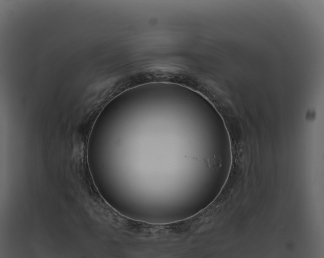 X0000093491061200710191222