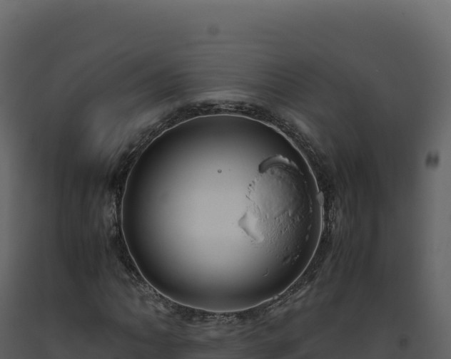 X0000093491062200710191222