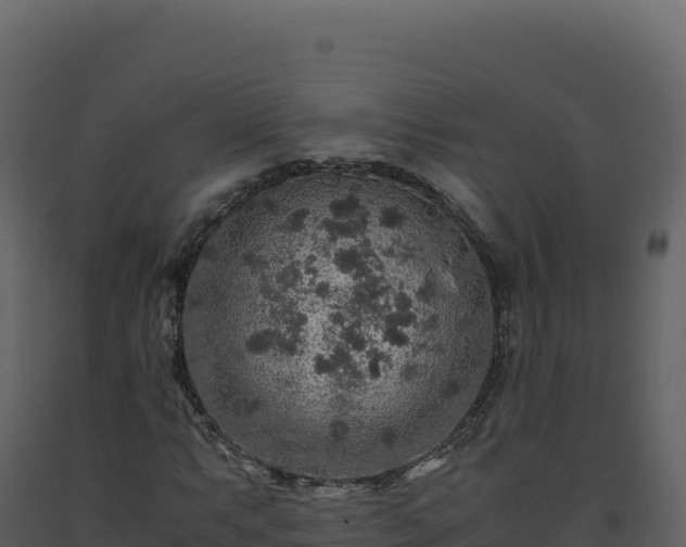 X0000093491063200710191222