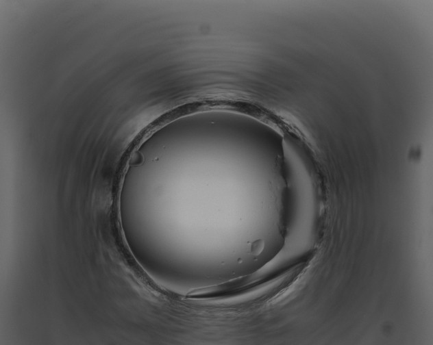 X0000093491065200710191222