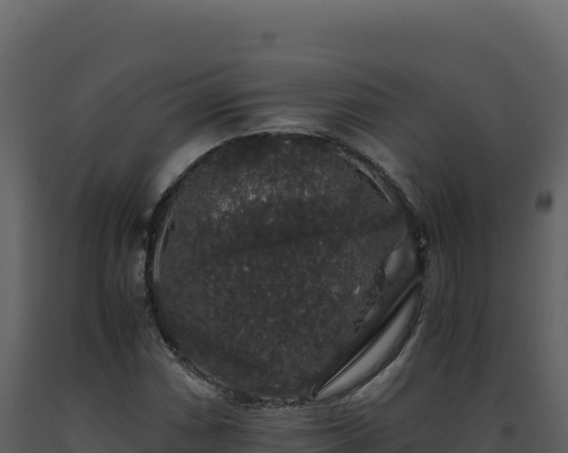 X0000093491066200710191222