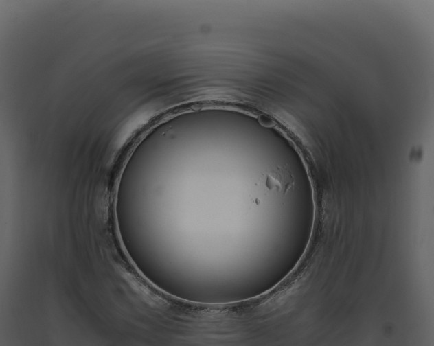 X0000093491067200710191222