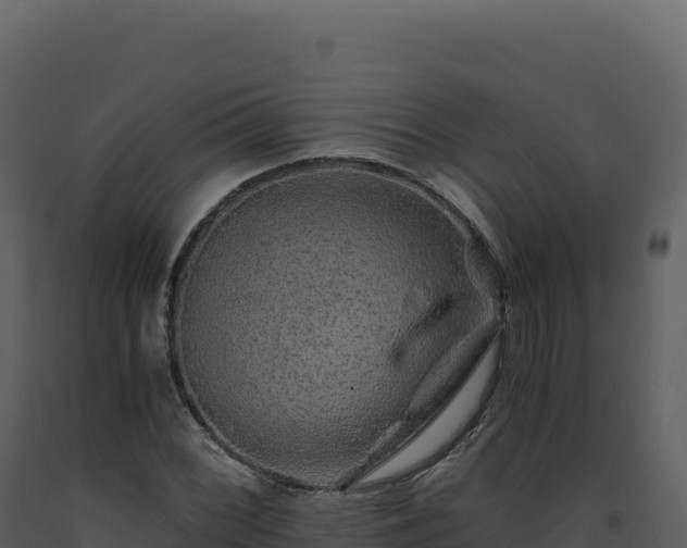X0000093491068200710191222
