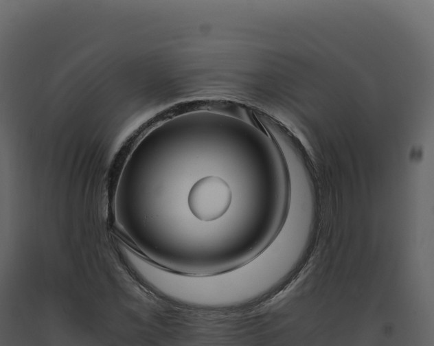 X0000093491069200710191222