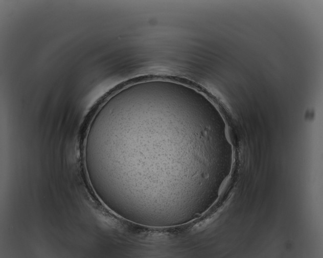 X0000093491070200710191222