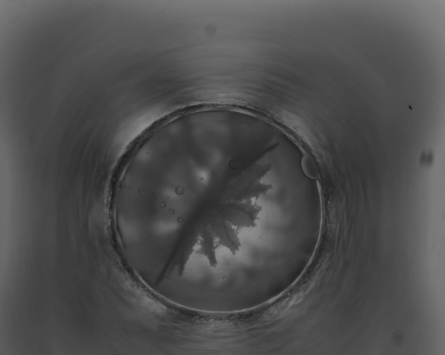 X0000093491071200710191222