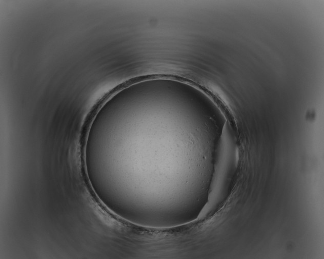 X0000093491072200710191222