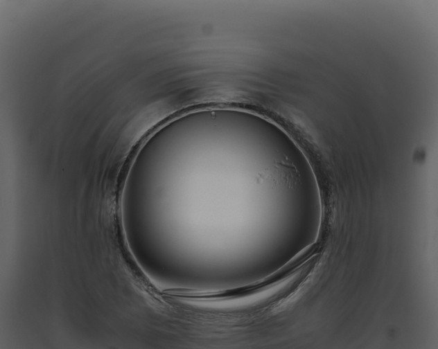 X0000093491073200710191222
