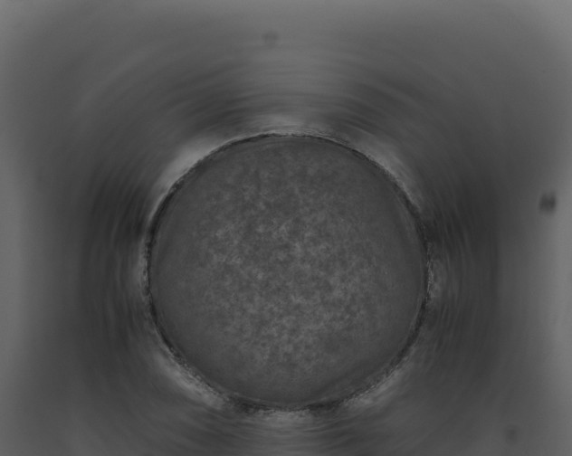 X0000093491074200710191222