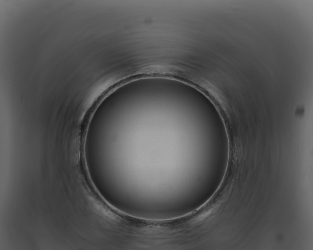 X0000093491075200710191222