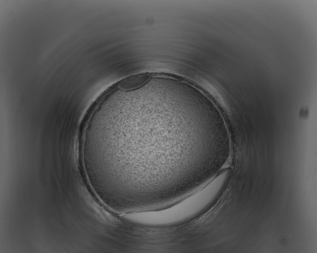 X0000093491076200710191222