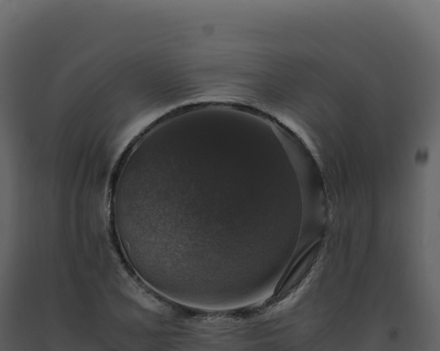 X0000093491077200710191222
