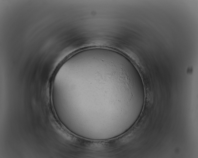 X0000093491078200710191222