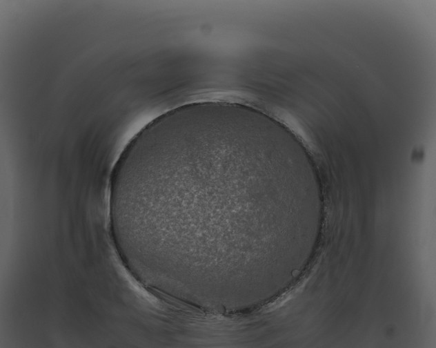 X0000093491079200710191222