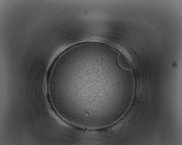 X0000093491080200710191222