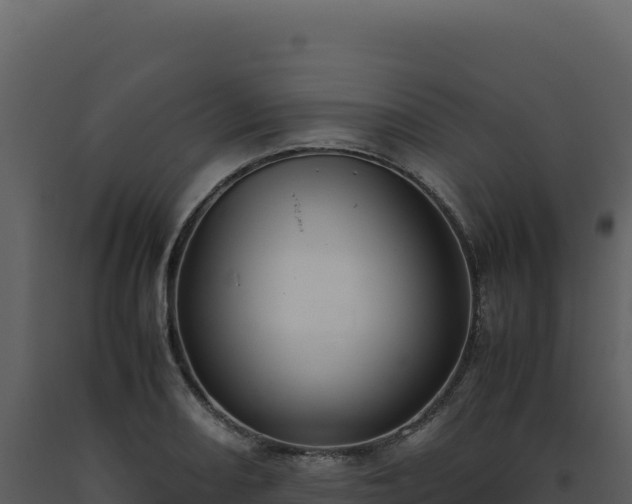 X0000093491082200710191222